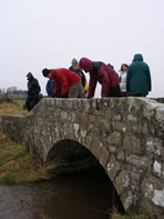 Looking for masons' marks on a bridge
