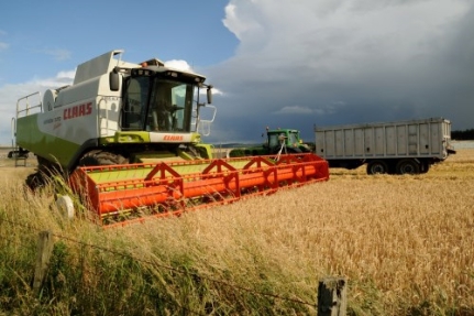 Combine harvester in field