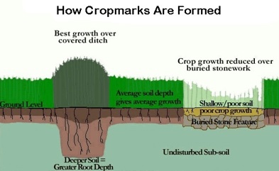 How Cropmarks are formed