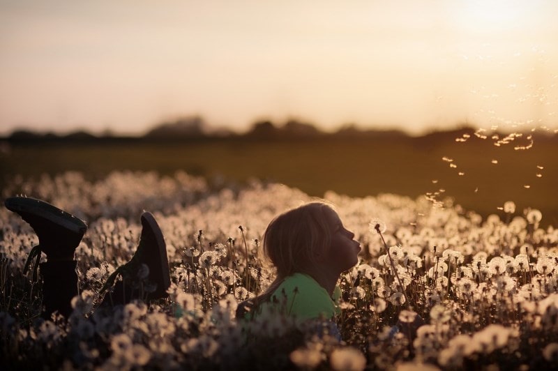 Girl blowing a dandelion