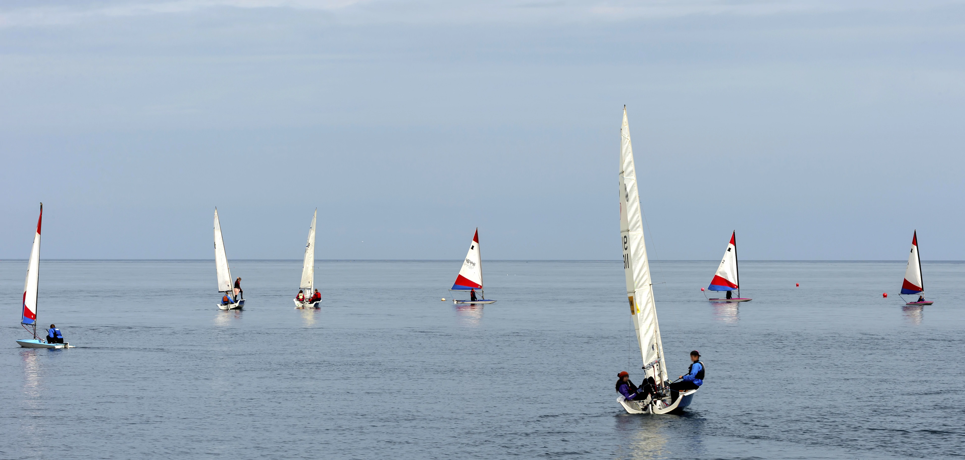 Junior sailing boats in the harbour at Stonehaven