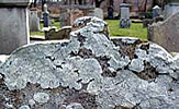 Fordyce Kirkyard Stones