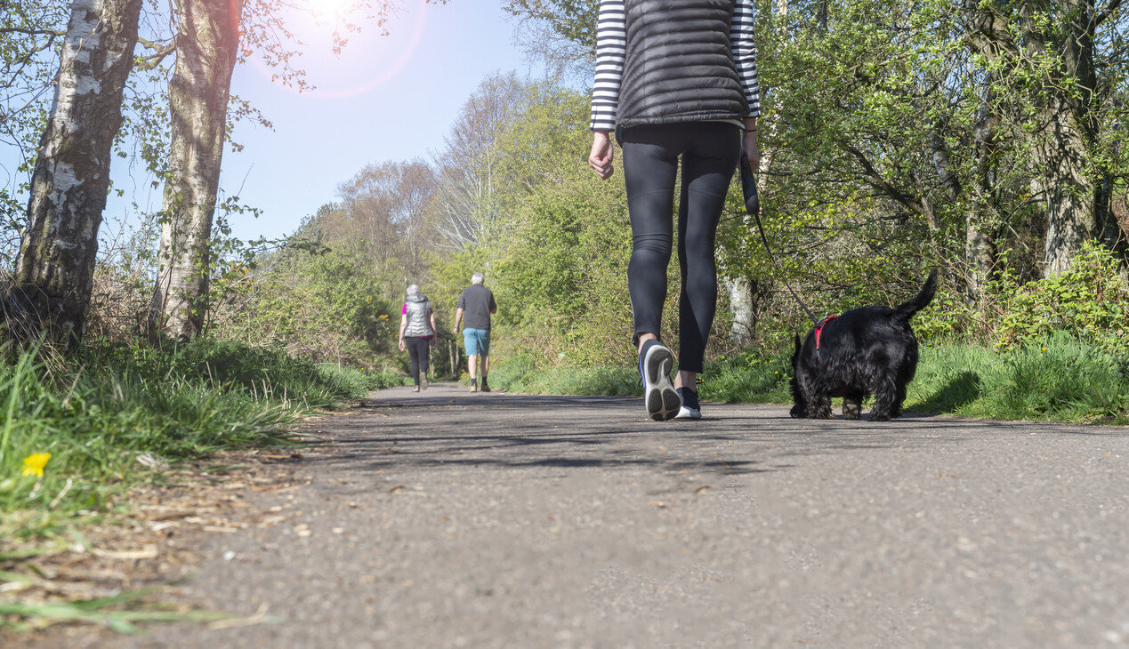 Person walking their dog along the Deeside Way with other walkers in the background
