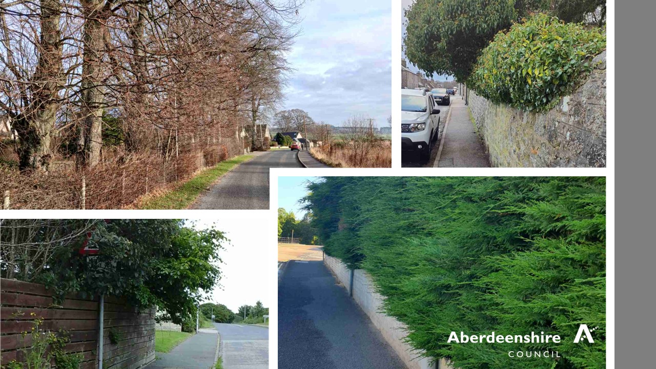 Four pictures of trees and bushes some with green leaves others without overgrowing pavements and roads. There is a white Aberdeenshire Council logo and name in the bottom right corner