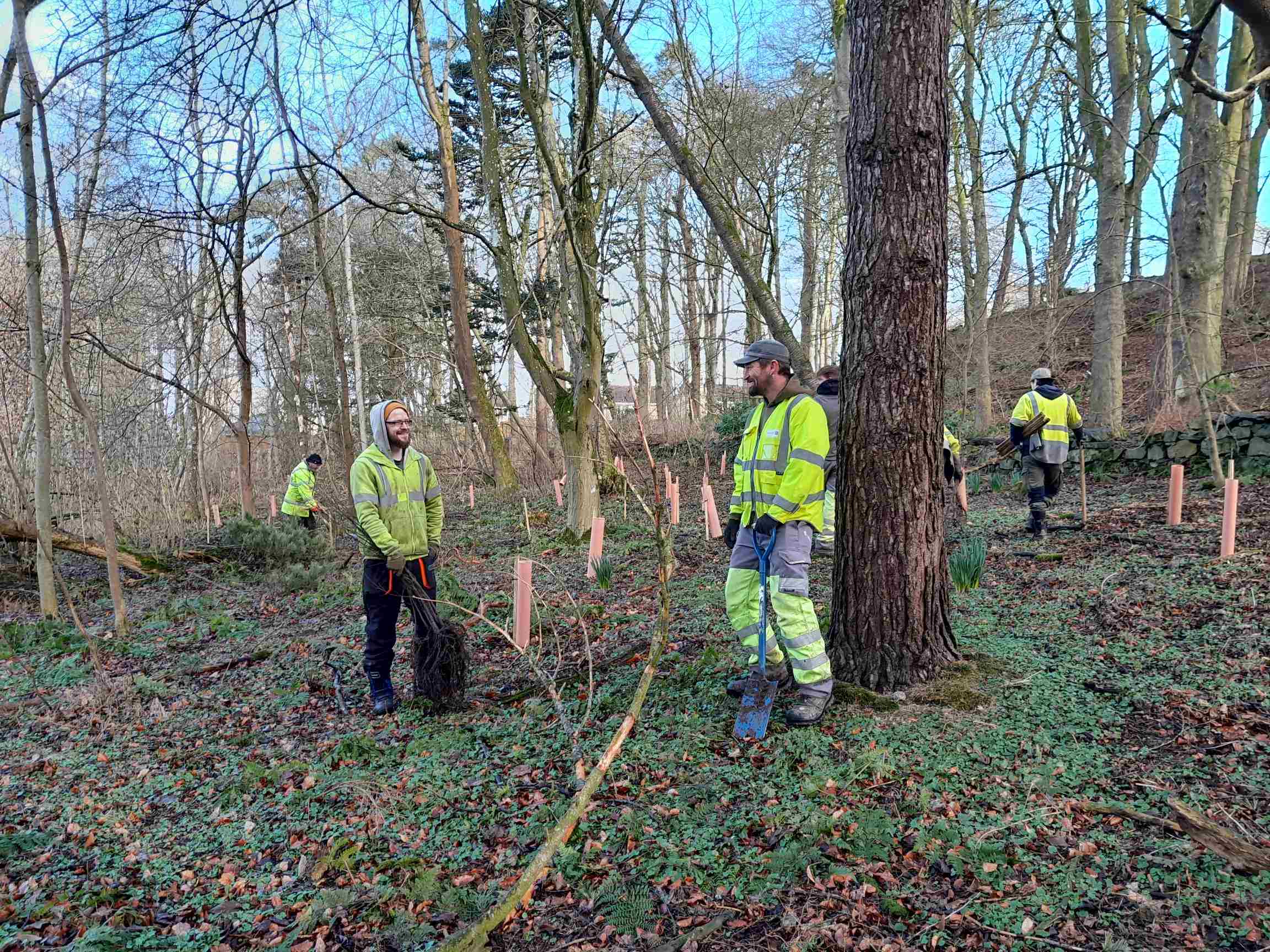 Volunteers in high viz yellow jackets plant new trees in McDonald Park Ellon