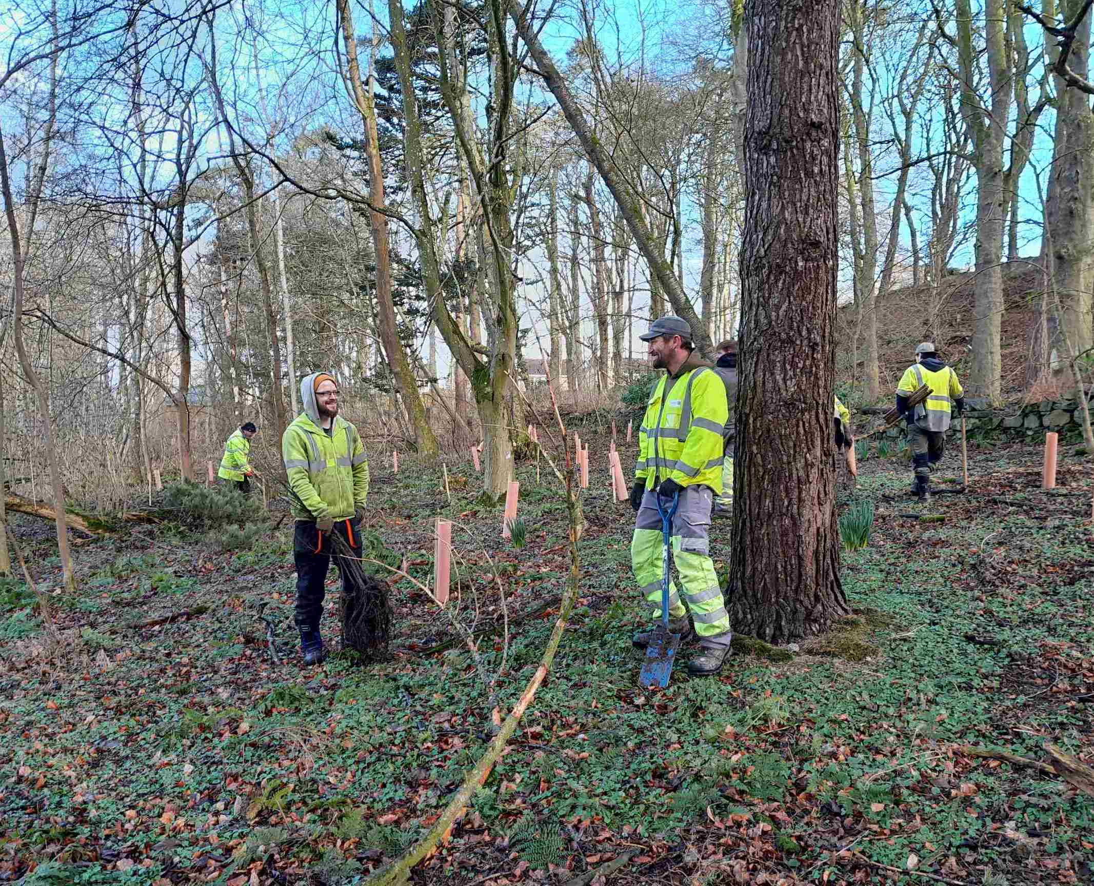 Volunteers in high viz yellow jackets plant new trees in McDonald Park Ellon